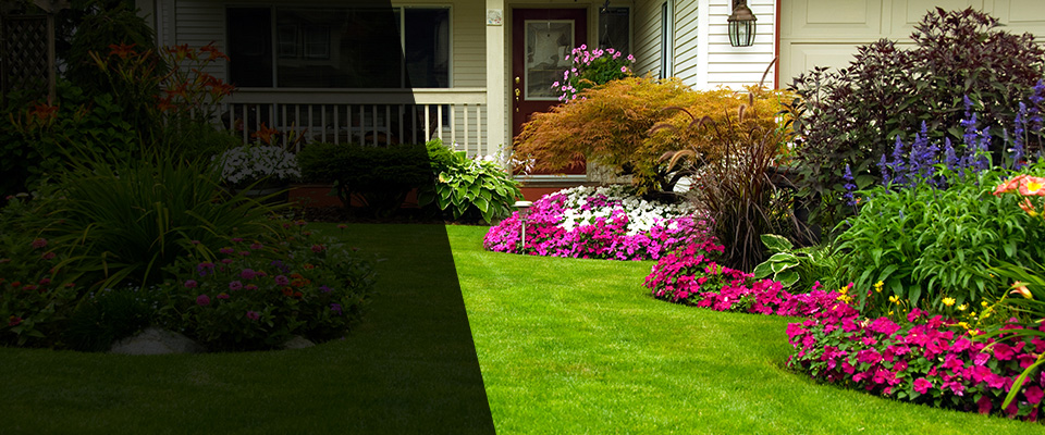 White Landscapers